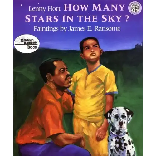 How Many Stars in the Sky? - Paperback