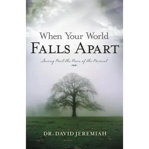 When Your World Falls Apart: See Past the Pain of the Present - Paperback