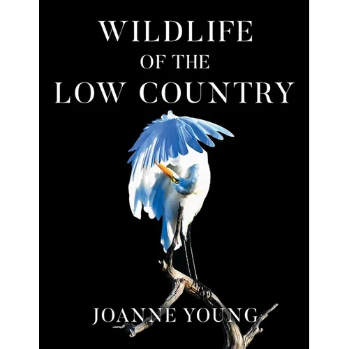 Wildlife of the Low Country - Paperback