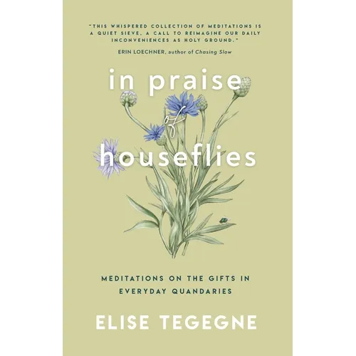 In Praise of Houseflies: Meditations on the Gifts in Everyday Quandaries - Paperback