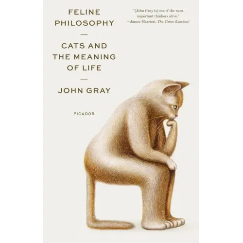 Feline Philosophy: Cats and the Meaning of Life - Paperback