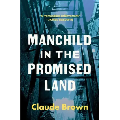 Manchild in the Promised Land - Paperback