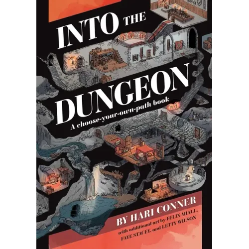 Into the Dungeon: A Choose-Your-Own-Path Book - Paperback