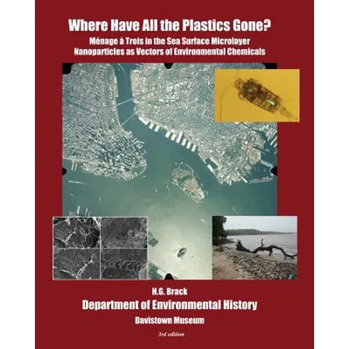 Where Have All the Plastics Gone?: Menage a Trois in the Sea Surface Microlayer: Nanoparticles as Vectors of Environmental Chemicals - Paperback