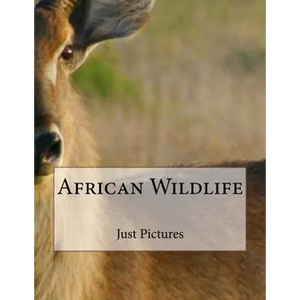 African Wildlife - Paperback