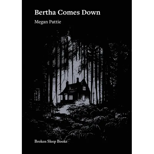 Bertha Comes Down - Paperback