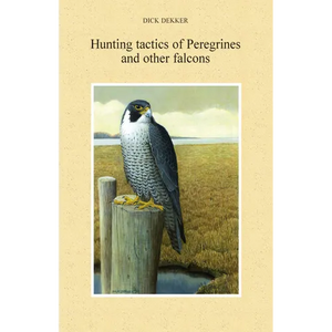 Hunting Tactics of Peregrines and other Falcons - Paperback