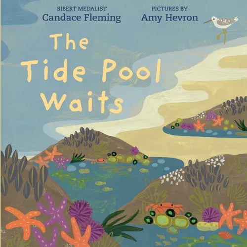 The Tide Pool Waits - Paperback