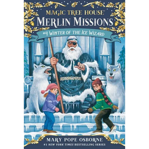 Winter of the Ice Wizard - Paperback