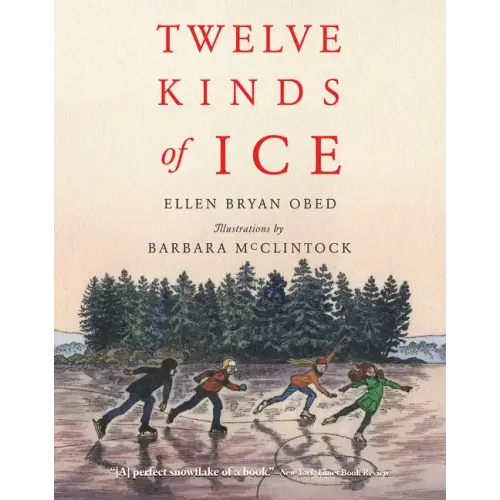 Twelve Kinds of Ice - Paperback
