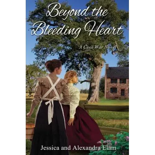 Beyond the Bleeding Heart: A Tale of the American Civil War - Paperback