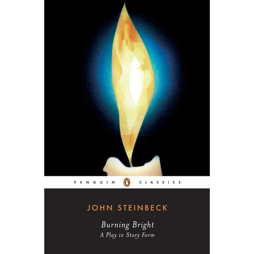 Burning Bright: A Play in Story Form - Paperback
