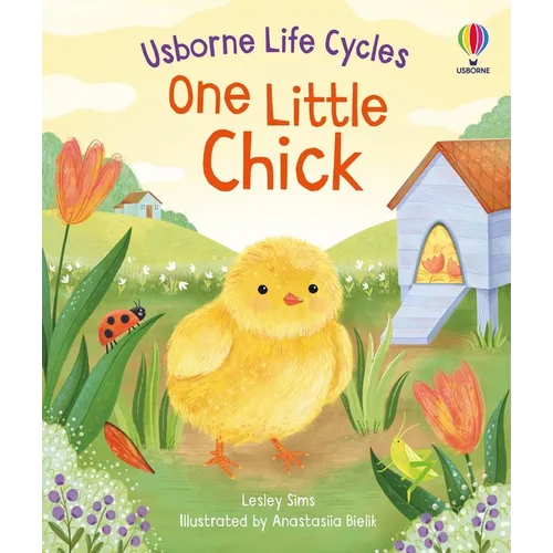 One Little Chick - Board Book
