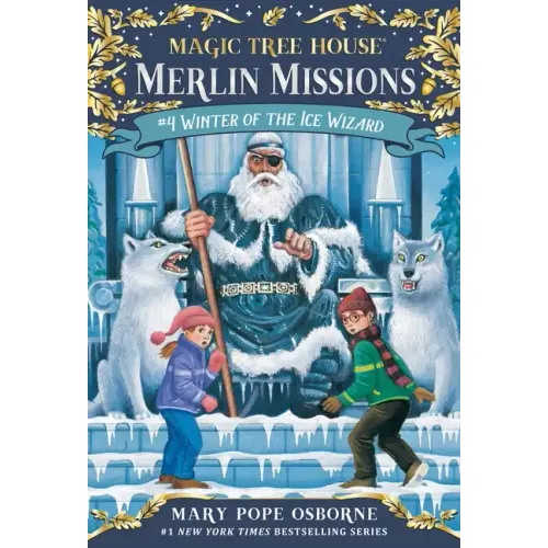 Winter of the Ice Wizard - Paperback