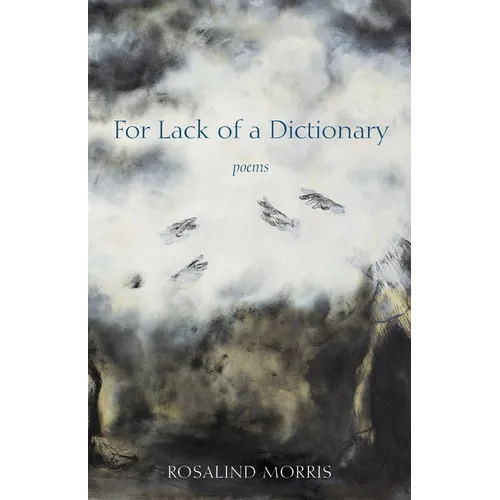 For Lack of a Dictionary - Paperback