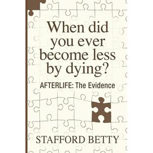When Did You Ever Become Less By Dying? AFTERLIFE: The Evidence - Paperback