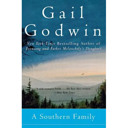 A Southern Family - Paperback