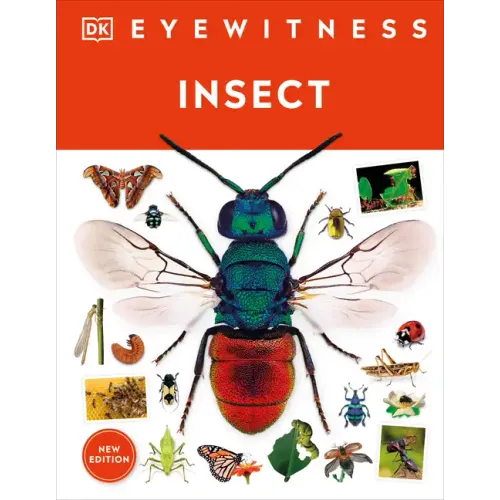 Eyewitness Insect - Hardcover
