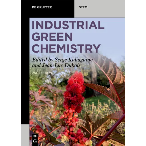 Industrial Green Chemistry - Paperback