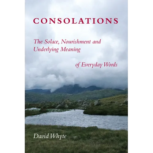 Consolations: The Solace, Nourishment and Underlying Meaning of Everyday Words - Paperback