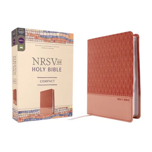Nrsvue, Holy Bible, Compact, Leathersoft, Peach, Comfort Print - Imitation Leather