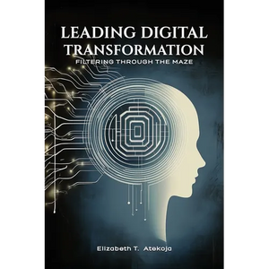 Leading Digital Transformation: Filtering Through the Maze - Paperback