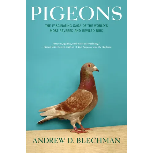 Pigeons: The Fascinating Saga of the World's Most Revered and Reviled Bird - Paperback