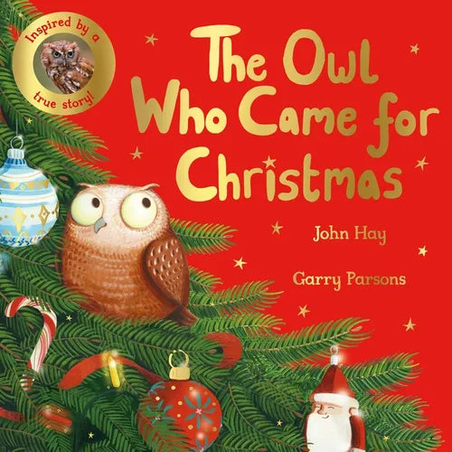The Owl Who Came for Christmas - Paperback