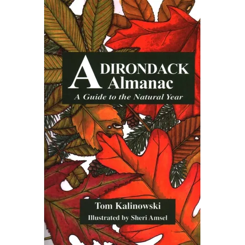 Adirondack Almanac: A Guide to the Natural Year - Paperback
