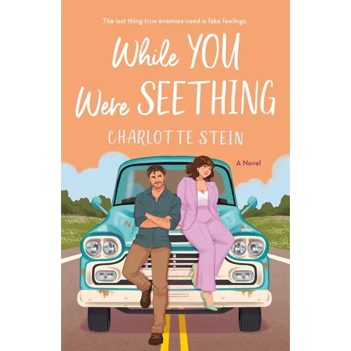 While You Were Seething - Paperback