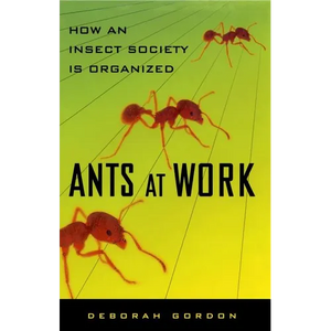 Ants at Work: How an Insect Society Is Organized - Paperback