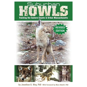 Suburban Howls: Tracking the Eastern Coyote in Urban Massachusetts - Paperback