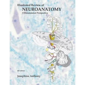 Illustrated Review of Neuroanatomy: 3 Dimensional Perspective - Paperback