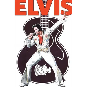 Rock and Roll Comics: Elvis Presley Experience: Special Hard Cover Edition - Hardcover