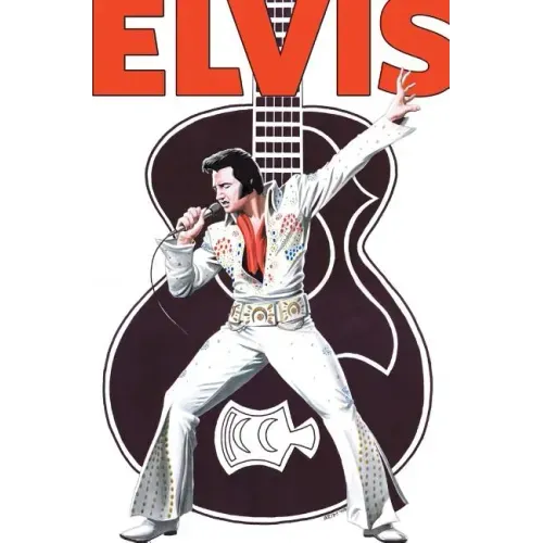 Rock and Roll Comics: Elvis Presley Experience: Special Hard Cover Edition - Hardcover