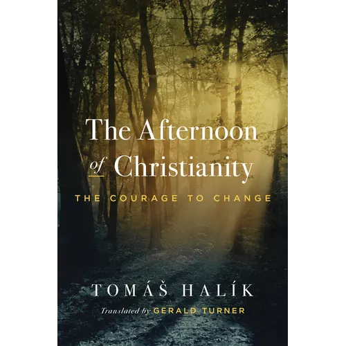 The Afternoon of Christianity: The Courage to Change - Paperback