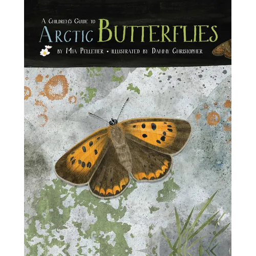 A Children's Guide to Arctic Butterflies - Hardcover