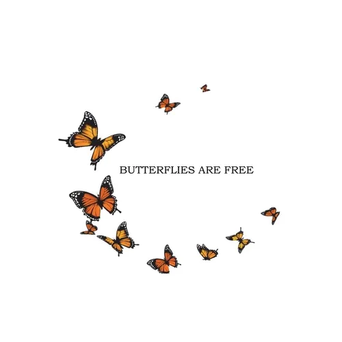 Butterflies Are Free - Paperback