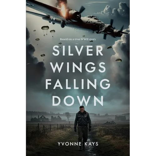 Silver Wings Falling Down - Paperback