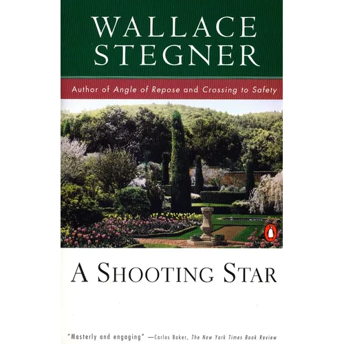 A Shooting Star - Paperback