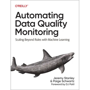 Automating Data Quality Monitoring: Scaling Beyond Rules with Machine Learning - Paperback