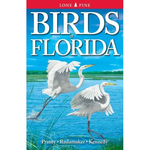 Birds of Florida - Paperback