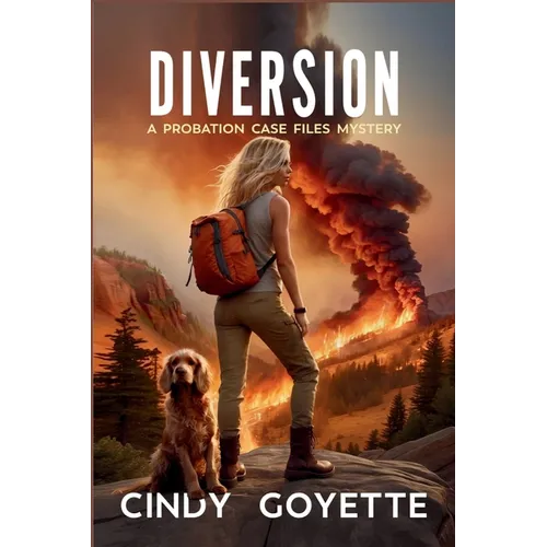 Diversion: A Probation Case Files Mystery - Paperback