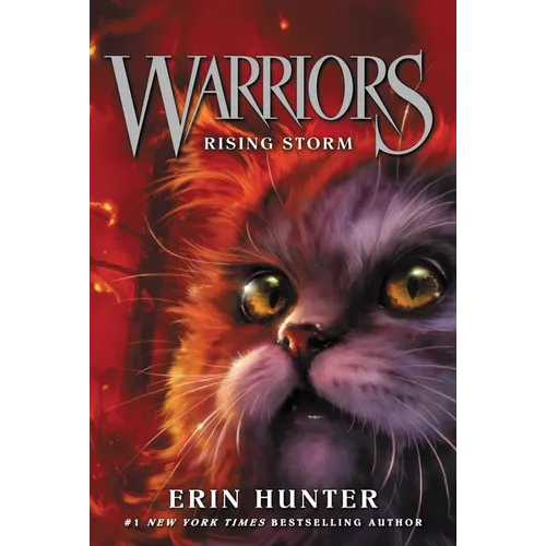 Warriors #4: Rising Storm - Paperback