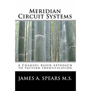 Meridian Circuit Systems: A Channel Based Approach to Pattern Identification - Paperback
