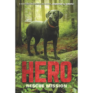 Hero: Rescue Mission - Paperback