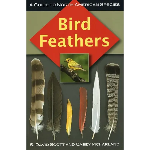 Bird Feathers - Paperback