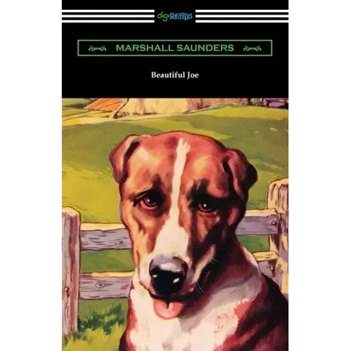Beautiful Joe - Paperback