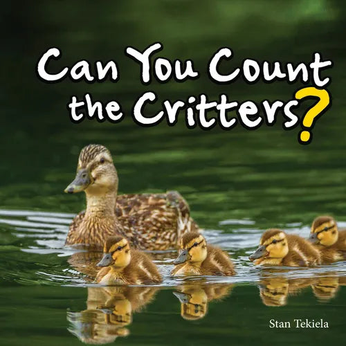 Can You Count the Critters? - Hardcover