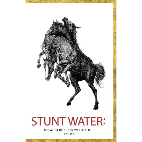 Stunt Water: The Work of Buddy Wakefield 1991-2011 - Paperback